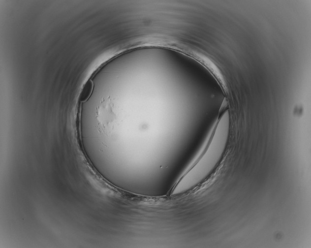 X0000096971146200802291115