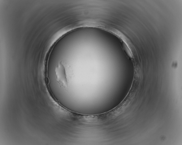 X0000096971147200802291115