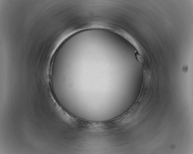 X0000096971148200802291116