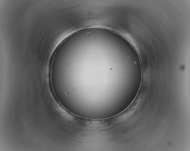 X0000096971149200802291116