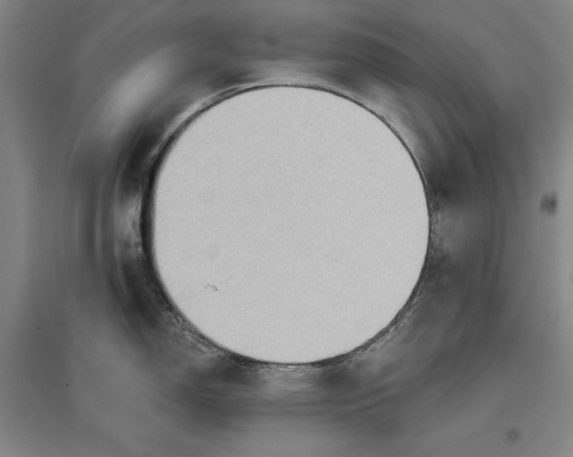 X0000096971150200802291116