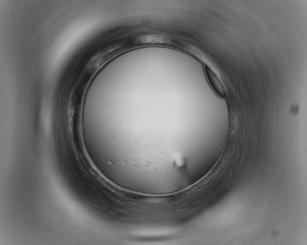 X0000096971151200802291116