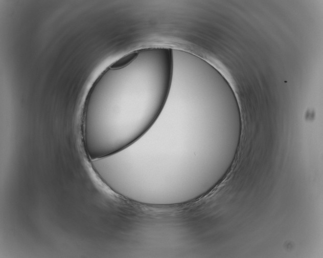 X0000096971152200802291116