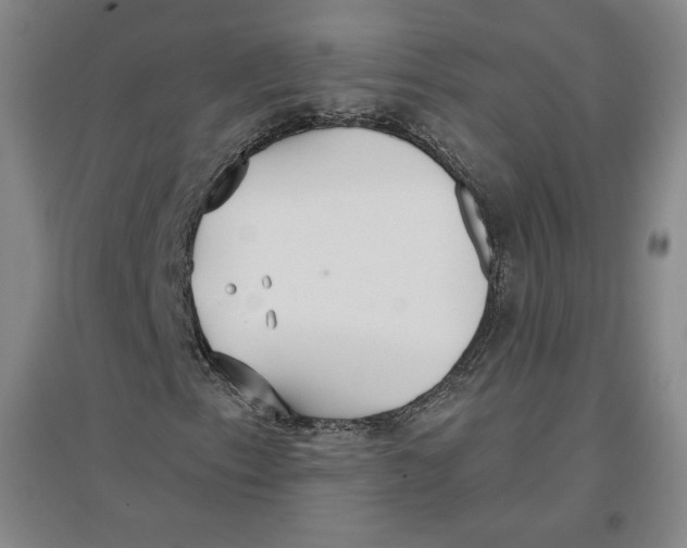 X0000096971153200802291115