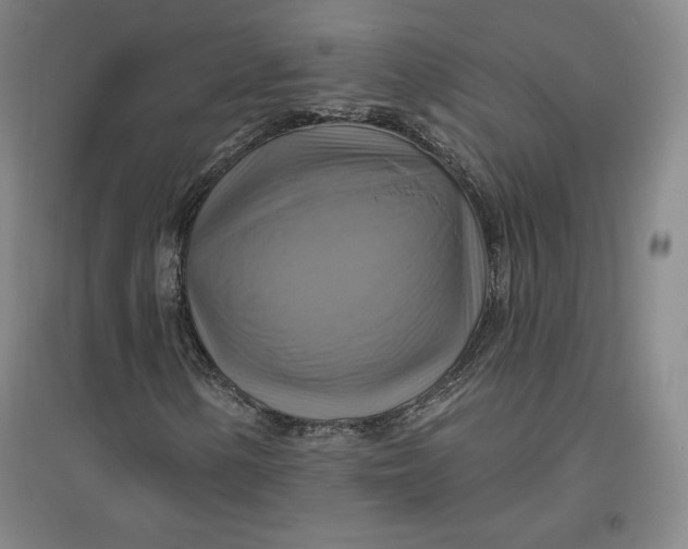 X0000096971154200802291115