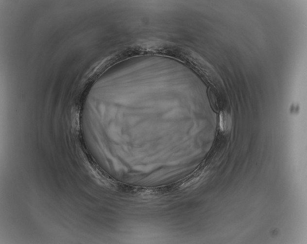 X0000096971155200802291115