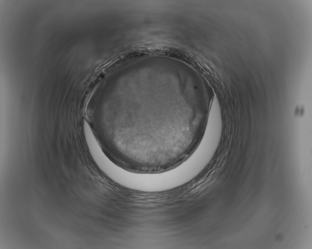 X0000096971156200802291115