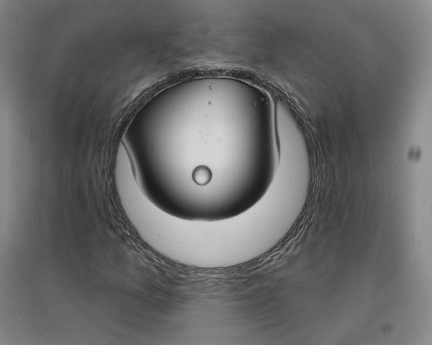 X0000096971157200802291115