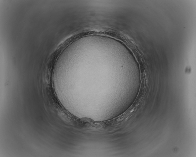 X0000096971158200802291115