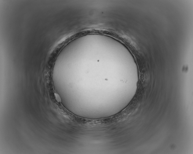 X0000096971159200802291115