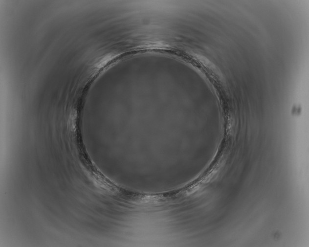 X0000096971161200802291115