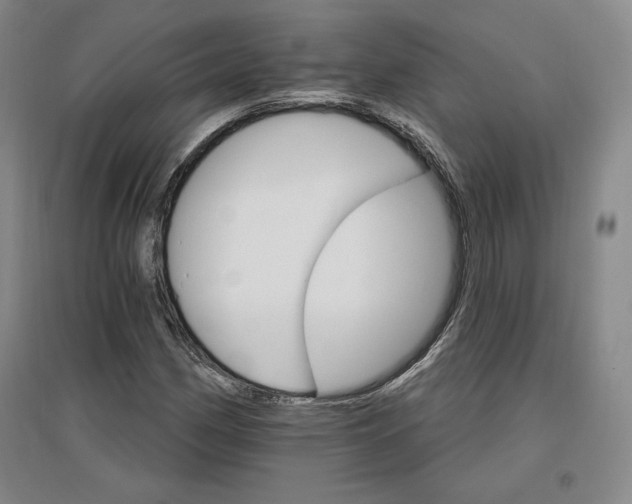 X0000096971162200802291115