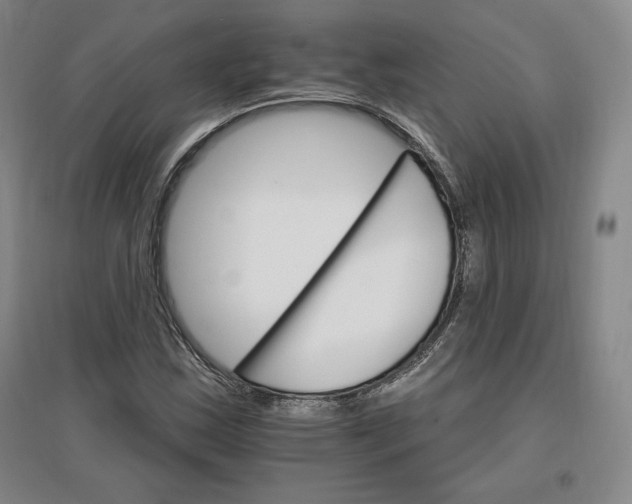 X0000096971163200802291115