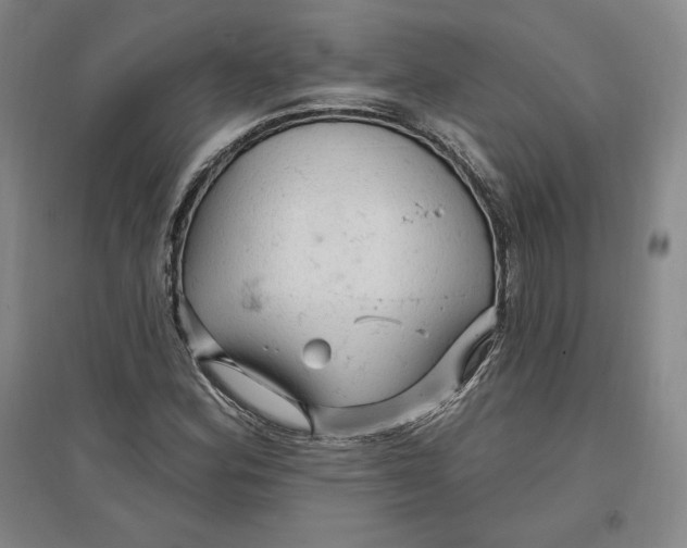 X0000096971164200802291115