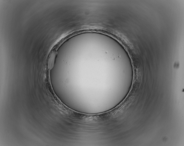 X0000096971165200802291115