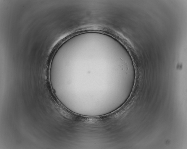 X0000096971166200802291115