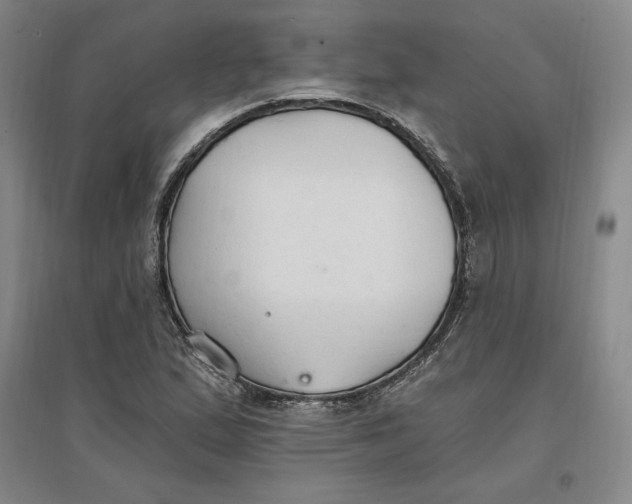 X0000096971167200802291115