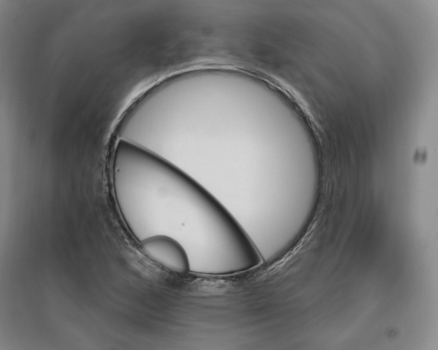 X0000096971168200802291115