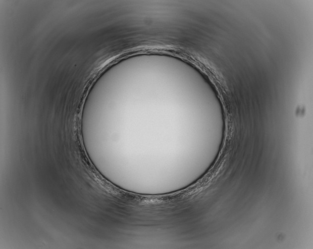 X0000096971169200802291115