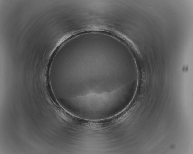 X0000096971170200802291115