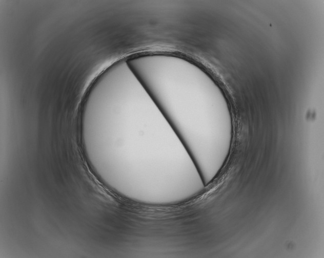 X0000096971171200802291115