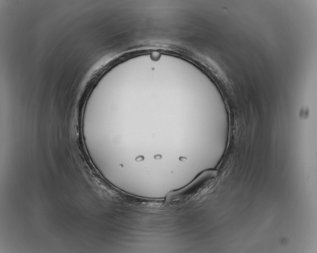 X0000096971172200802291115