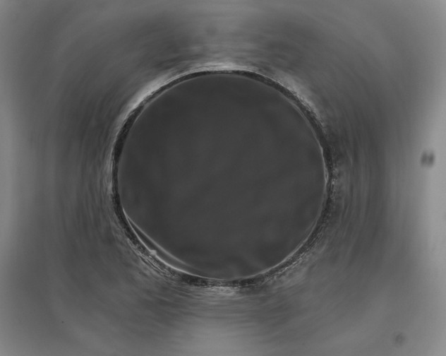 X0000096971173200802291114