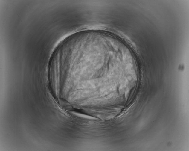 X0000096971174200802291114