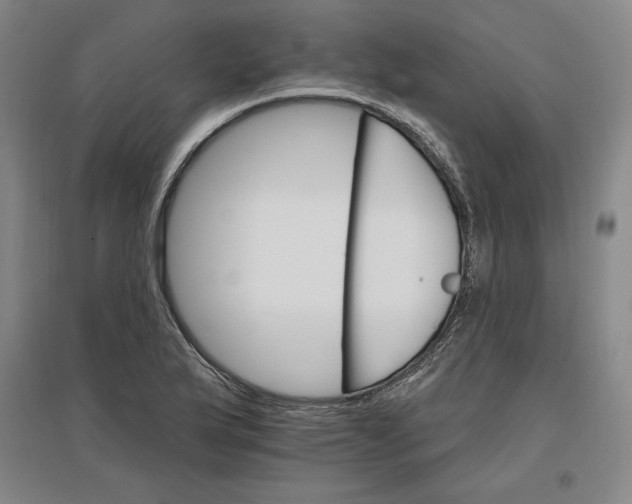 X0000096971175200802291114