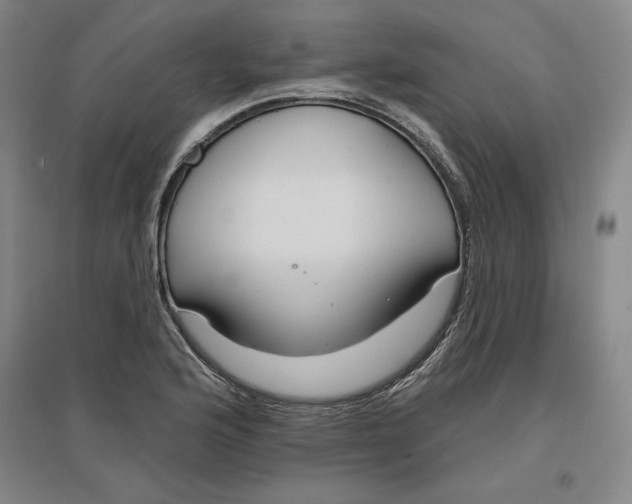 X0000096971176200802291114