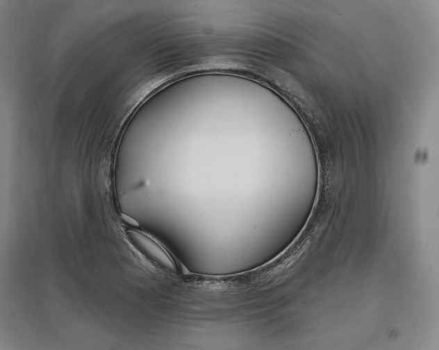 X0000096971177200802291114