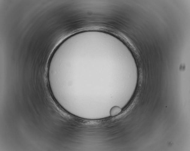 X0000096971178200802291114