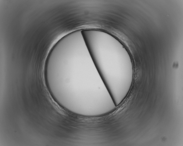 X0000096971179200802291114