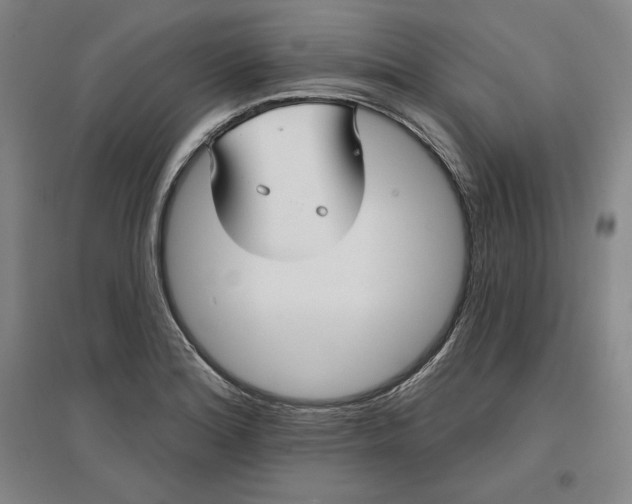 X0000096971180200802291114