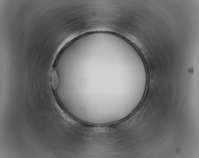 X0000096971181200802291114