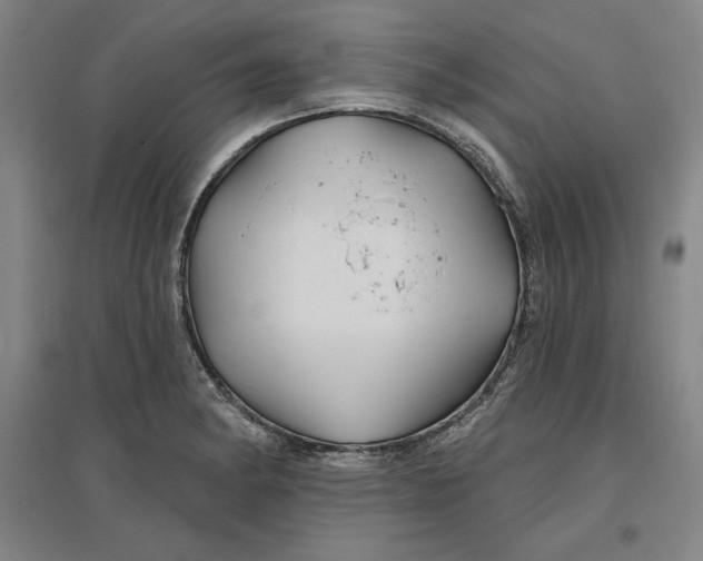 X0000096971182200802291114