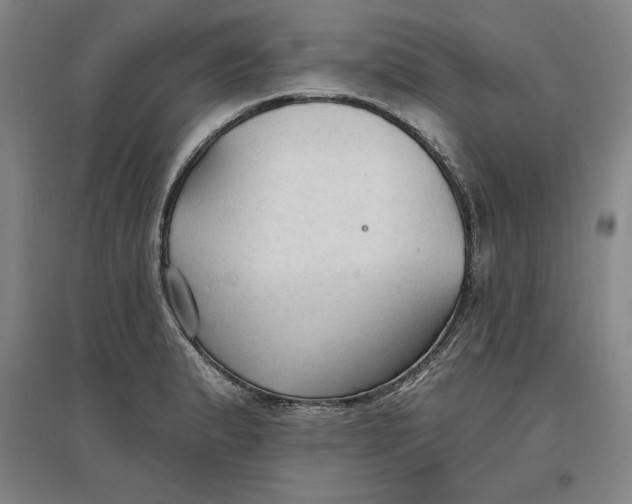 X0000096971183200802291114