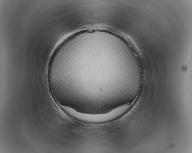 X0000096971184200802291114