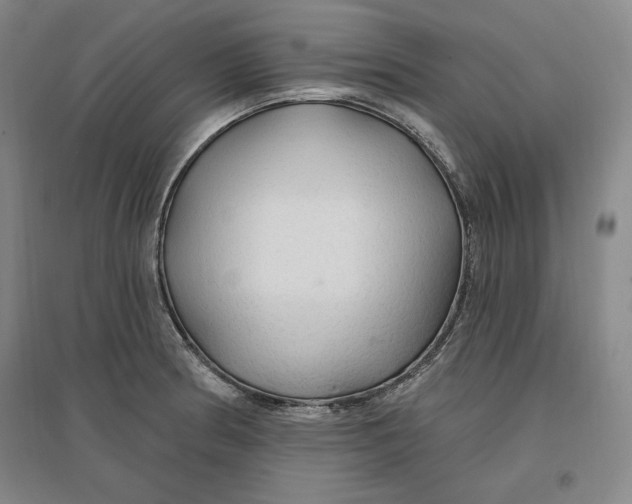 X0000096971186200802291114