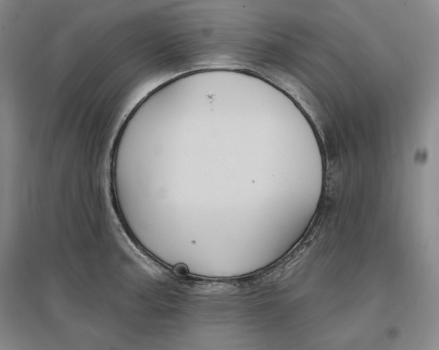 X0000096971187200802291114