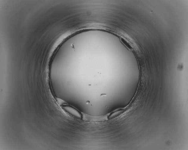 X0000096971188200802291114