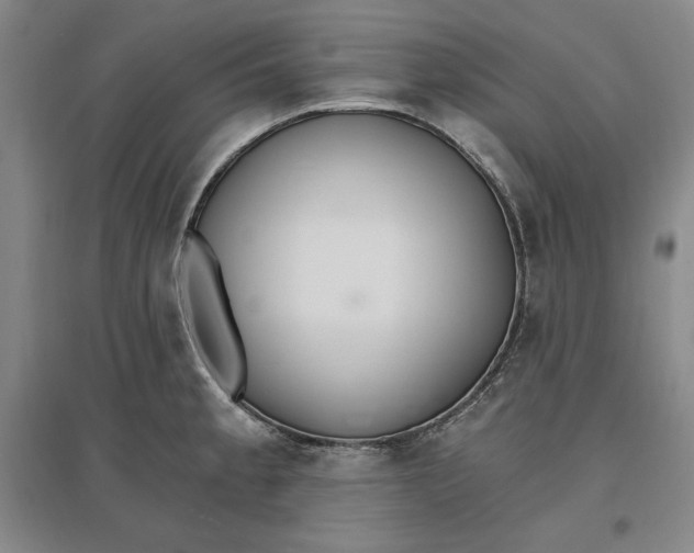 X0000096971189200802291114