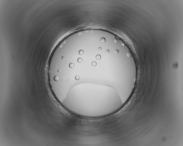 X0000096971190200802291114