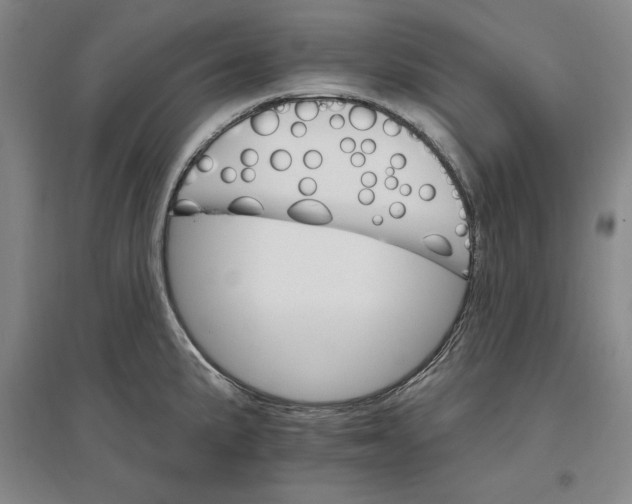 X0000096971191200802291114