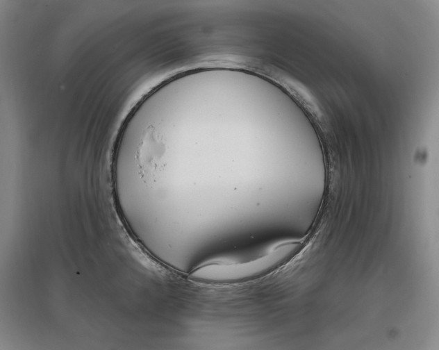 X0000096971192200802291114