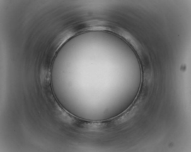 X0000096971193200802291114