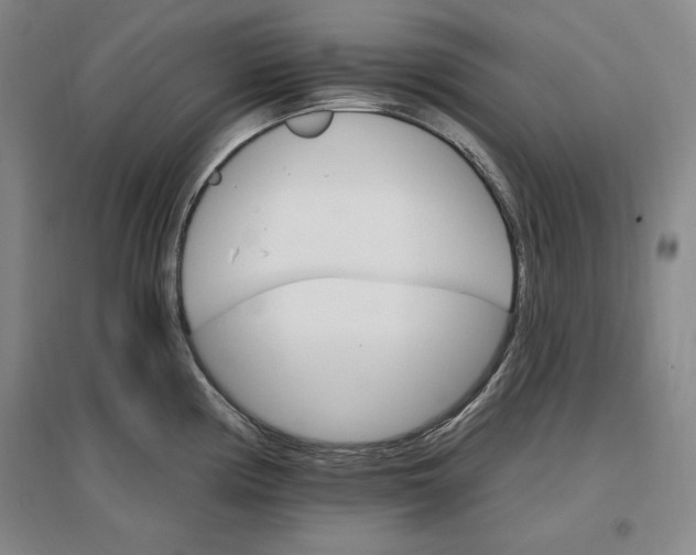 X0000096971194200802291114