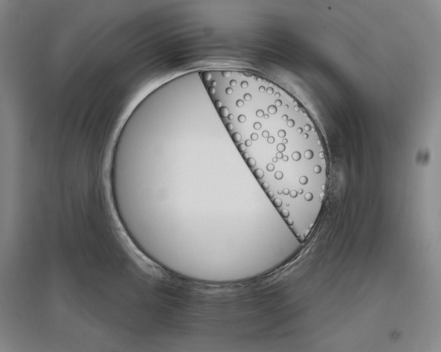 X0000096971195200802291114