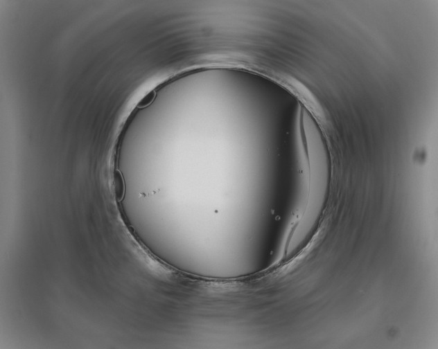 X0000096971196200802291114