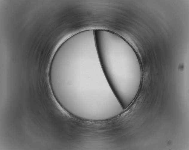 X0000096971197200802291114